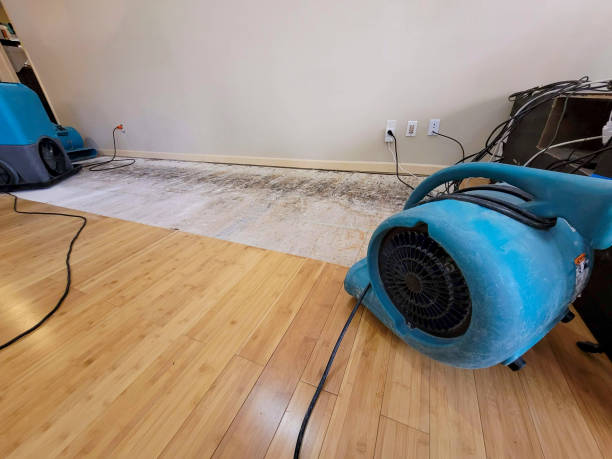 Professional Flood Damage Cleanup technician working in Woodville, WI